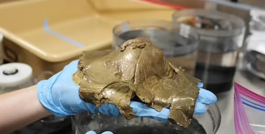 яйцо, золотое яйцо, яйцо в океане, золотое яйцо в океане