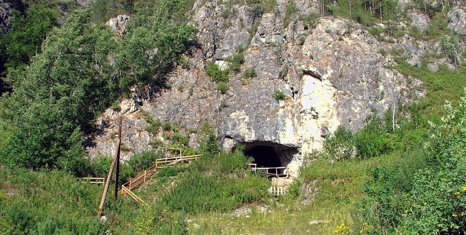 Денисова печера, вимерлий кінь, Equus ovodovi, Алтайські гори, Сибір, стародавні коні, генетичні докази, взаємовідносини людини і тварини, неандертальці, денисівці