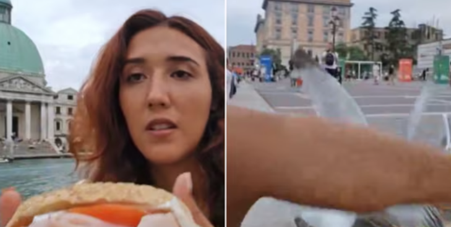 Чайка напала на известного блогера в Венеции, курьезы с птицами, интересные истории во время путешествий