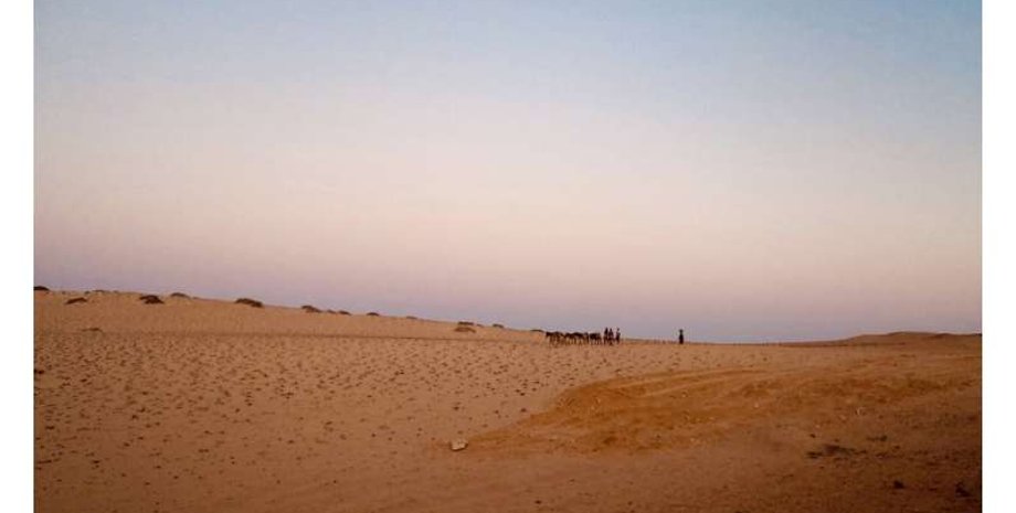 Генетичне різноманіття в Африці, Дослідження популяції пустелі Наміб в Анголі, Мови кхое-кваді, дослідження, археологія, історія, днк, африка