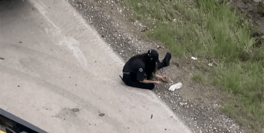 Грузовик с монетами, монеты на дороге, центы, авария, ДТП, шоссе, Монетный двор США, деньги на дороге, перевозка денег