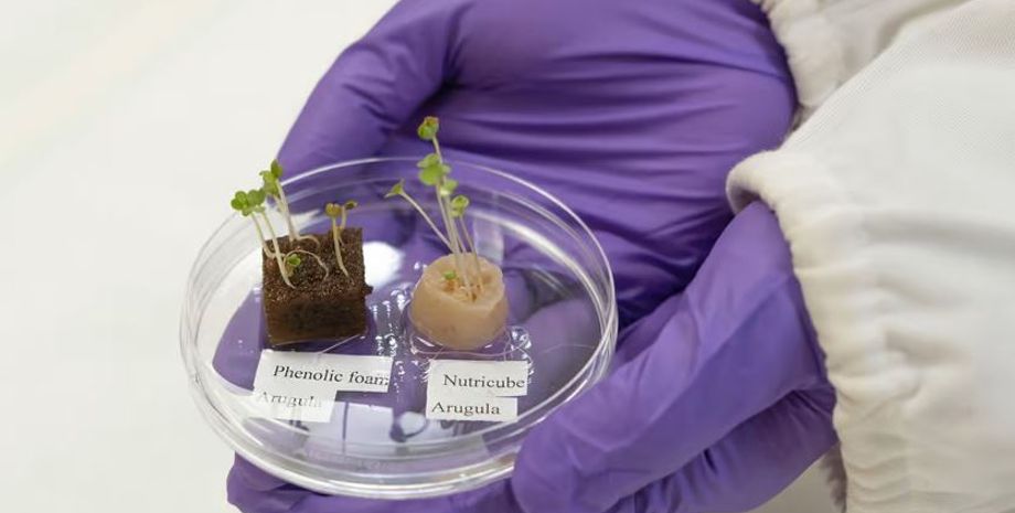 ґрунт, ґрунт із волосся