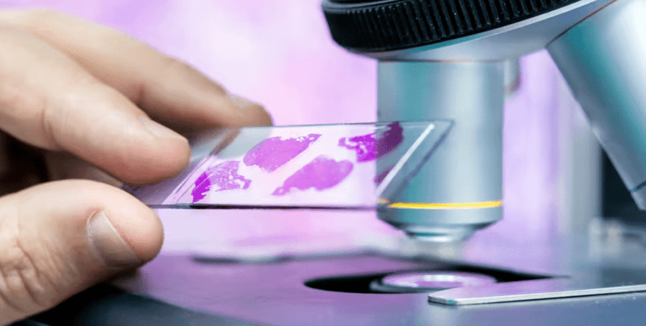 микроскоп, биопсия, ткани, клетки, рука