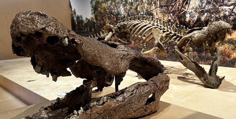 Вымерший крокодил