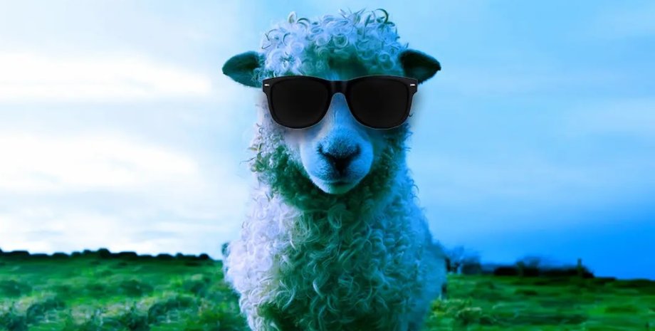 біонічні очі, вівці