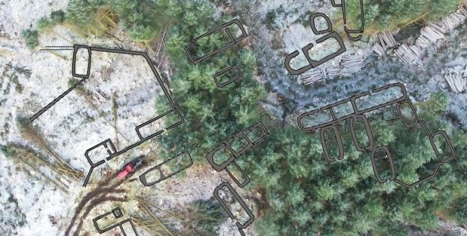 захоронение Шотландия, остров, деревня, поселение, археологи, археология, раскопки, ель, исследования, ученые, история, руины, жизнь, люди, участок, плантация