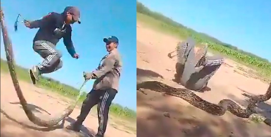 Чоловіки використовували змію як скакалку, вірусне відео, стрибали через змію, жорстоке поводження з тваринами, змія,