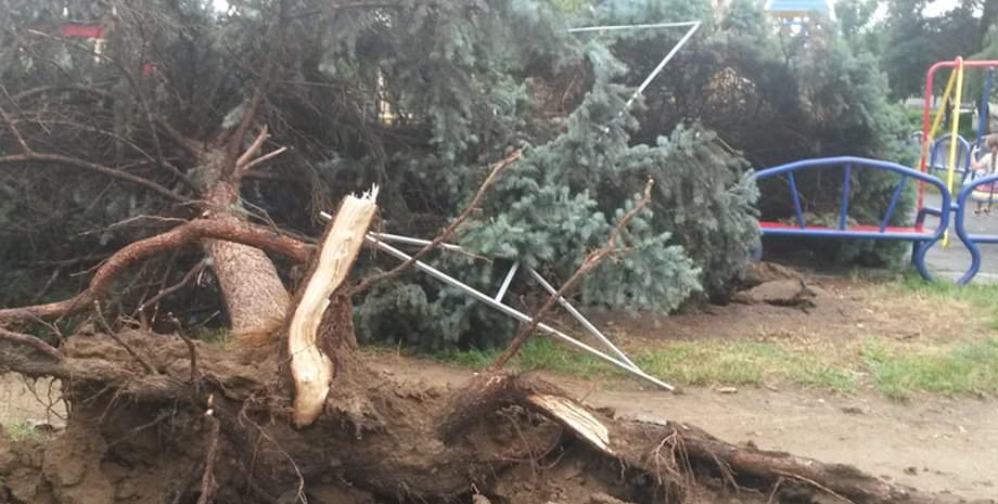 Фото: zakarpattya.net.ua