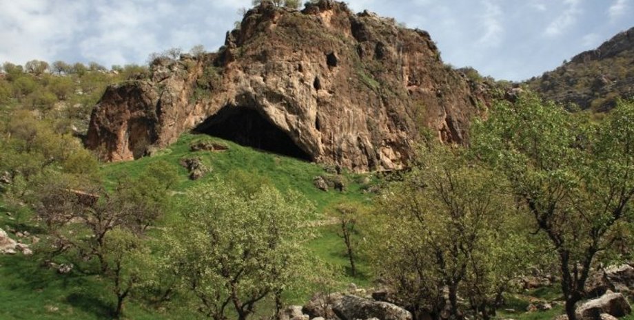 Фото: ScienceAlert