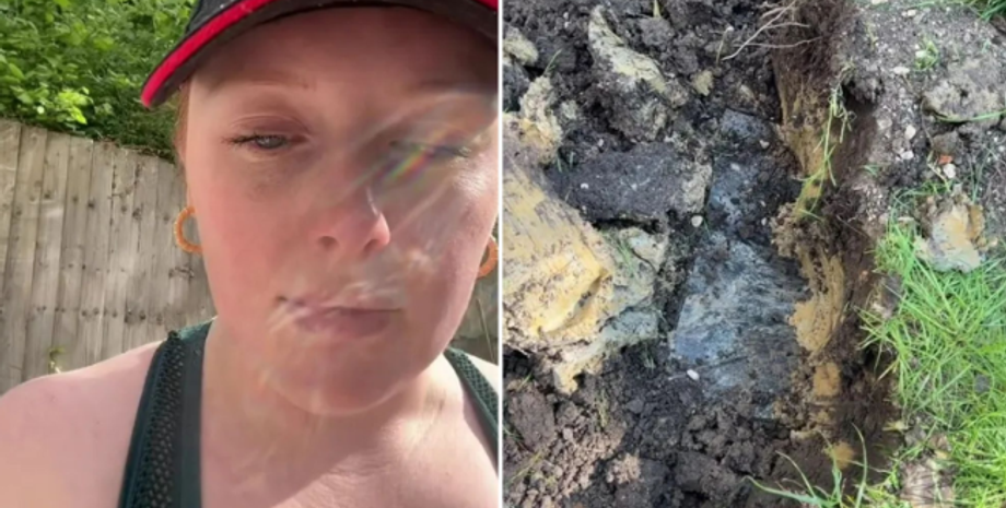 Блогерша нашла ящик в саду, могила собаки, курьезы, находки, видео, тренды TikTok, приколы