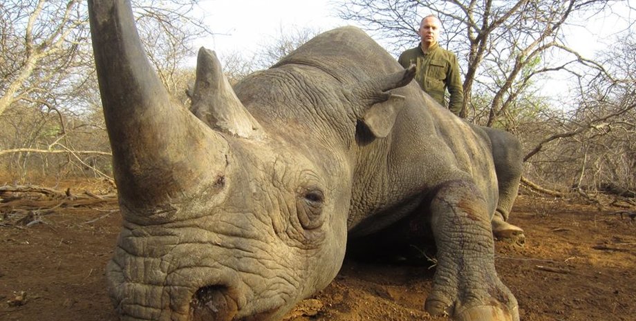 Фото: africatrophyhunting.com