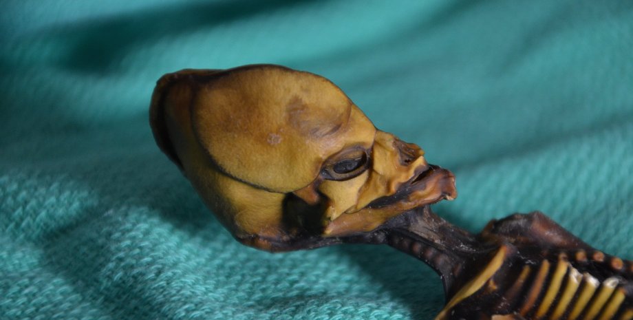 фото: businessinsider.com