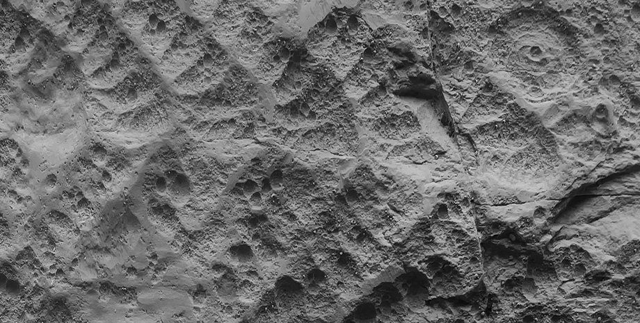 Багато видів вимерли під час Котлінської кризи