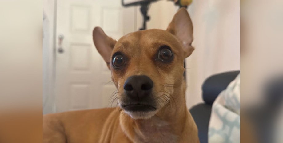 Причина оказалась неожиданной