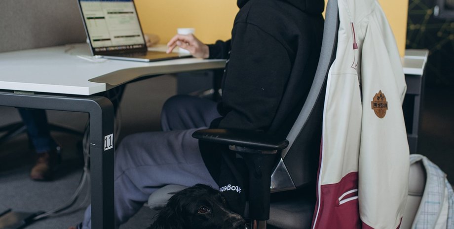 ІТ, сфера ІТ, релокація ІТ, внутрішні переселенці, біженці, релокація бізнесу