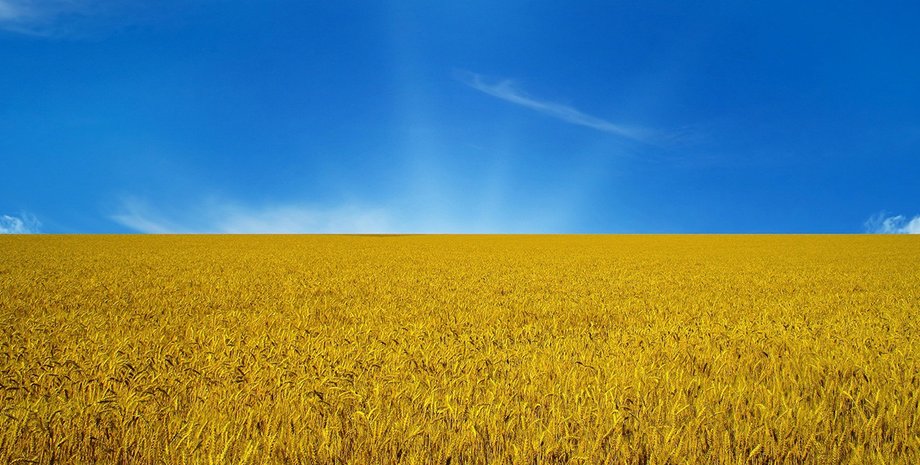 Фото: открытые источники