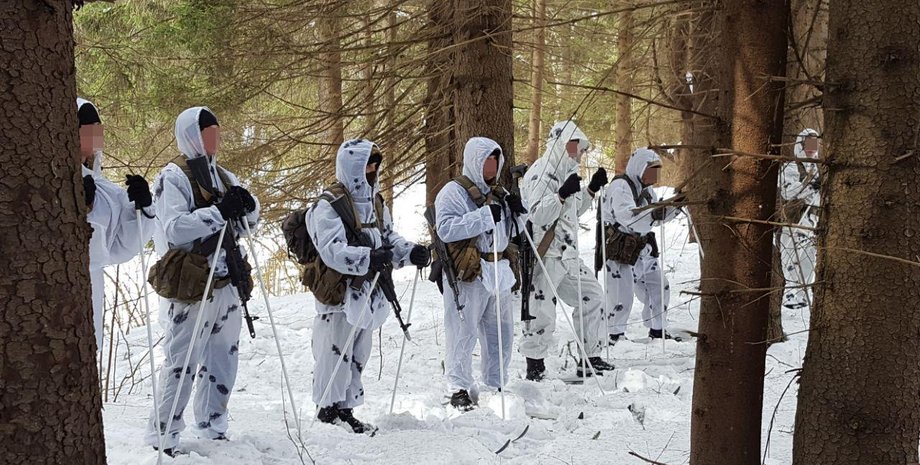 задержание дрг на донбассе
