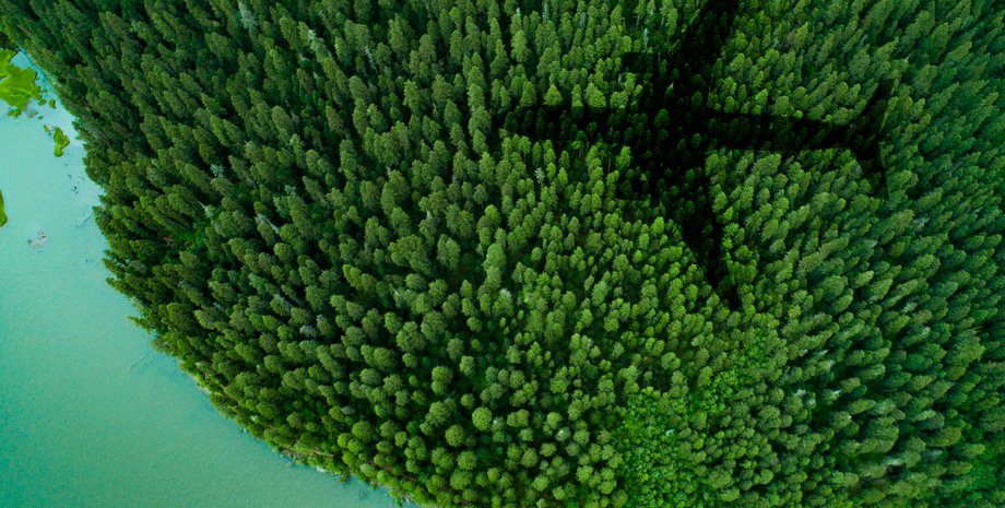 под крылом самолета, панорама,