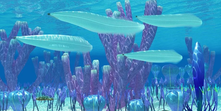 пикайя, животное пикайя