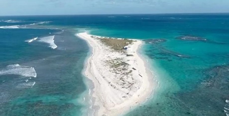 Фото: Sciencealert