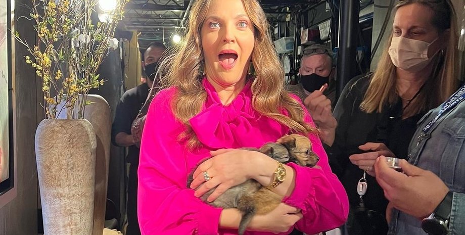 Дрю Бэрримор, Дрю Бэрримор актриса, Дрю Бэрримор стиль, Дрю Бэрримор личная жизнь, алкоголь, пьющие звезды, развод