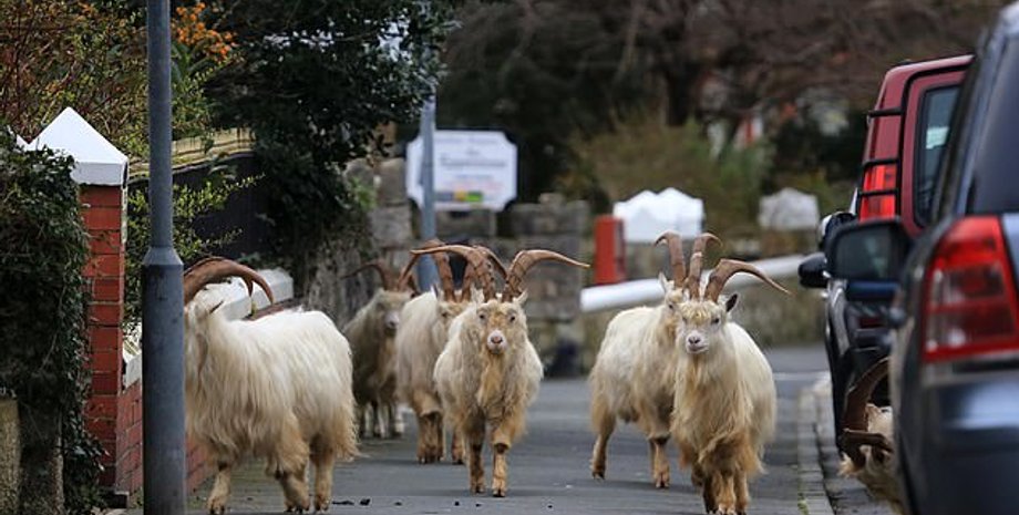 Фото: Andrew Stuart