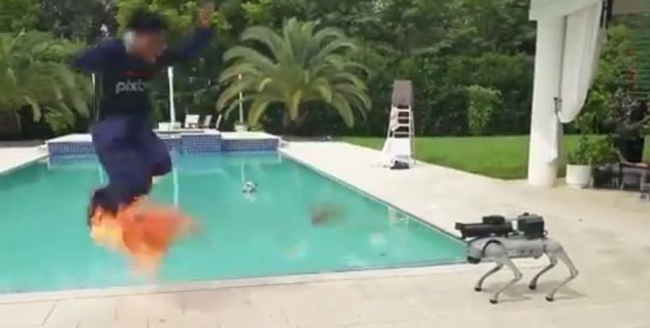 Робопес с огнеметом