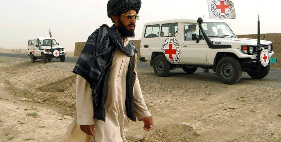 Фото из открытых источников