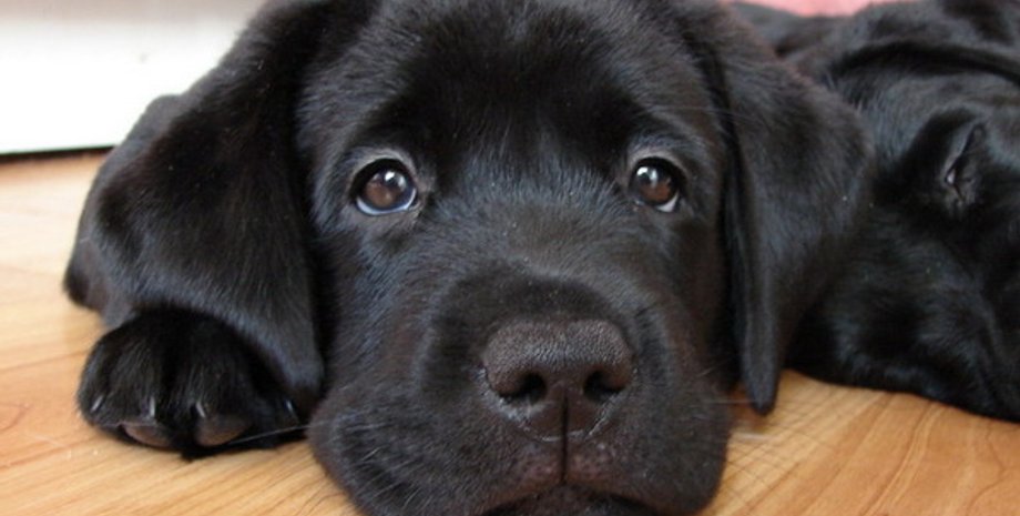 Фото: chitalnya.ru