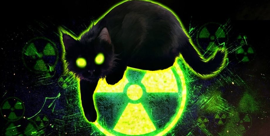 ядерні відходи, ядерне паливо, ядерна енергія, променевий кіт, кіт, дослідження, теорія, майбутнє, майбутні покоління, відпрацьоване ядерне паливо