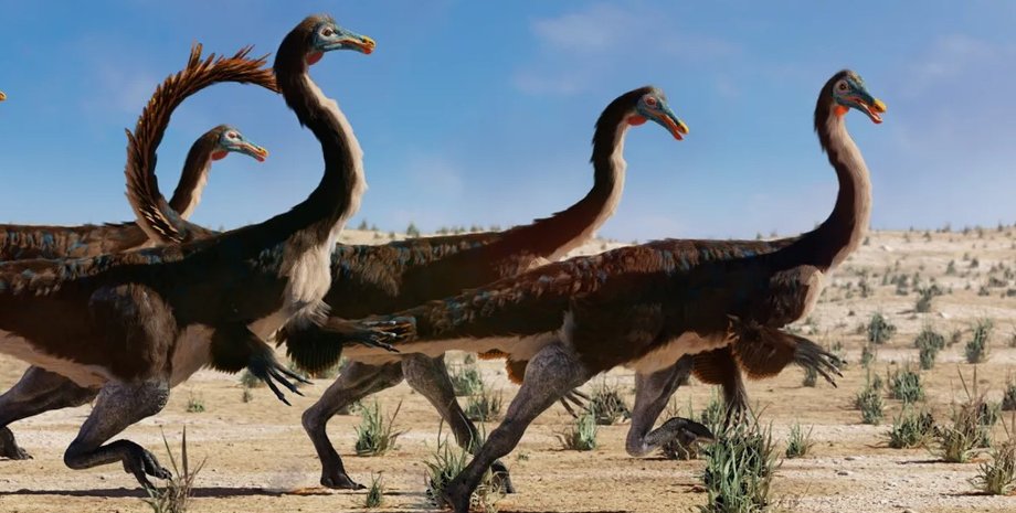 динозавры, галлимимы