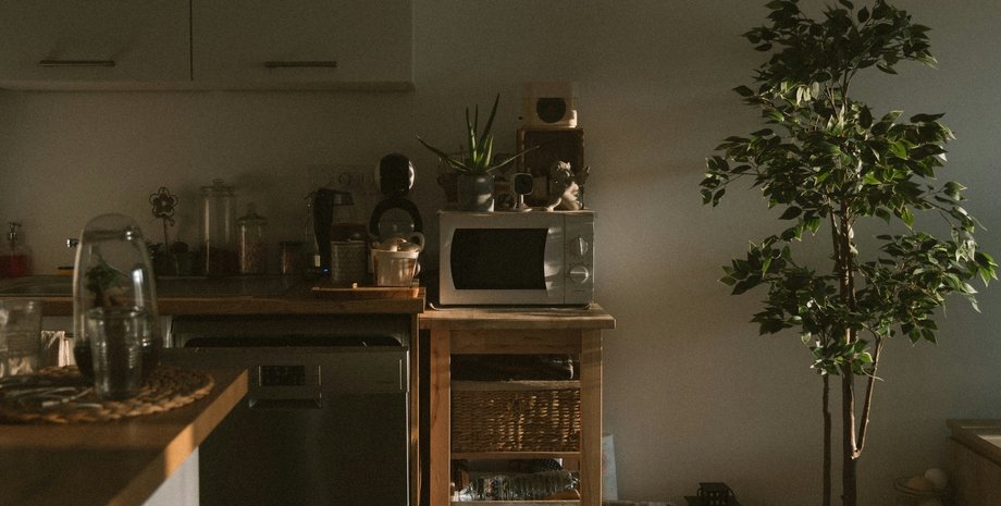 как отмыть микроволновку