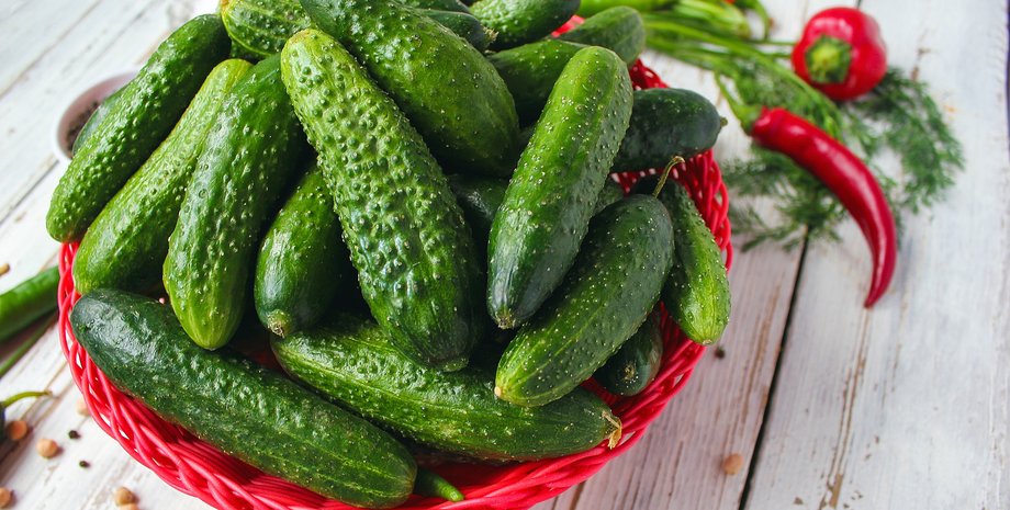 рецепт малосольных огурцов, хрустящие огурцы, рецепт, кухня
