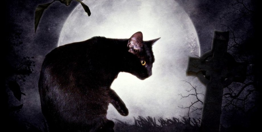 пятница 13-го удача, астрологический прогноз, знаки зодиака, кому повезет 13 декабря, астрология пятница 13-го, удача знаки зодиака, пятница 13-го 2024, прогноз удачи, знаки Зодиака 13 декабря, астрология на пятницу 13-го.