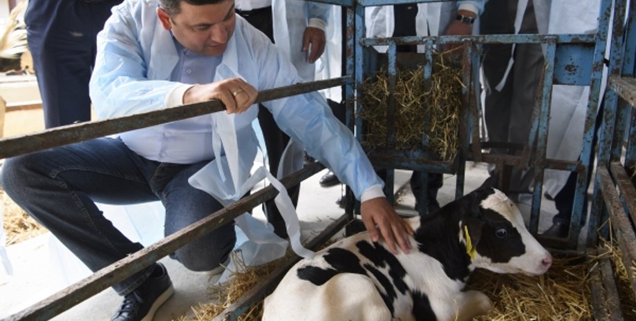 Фото:  ukrafoto.com