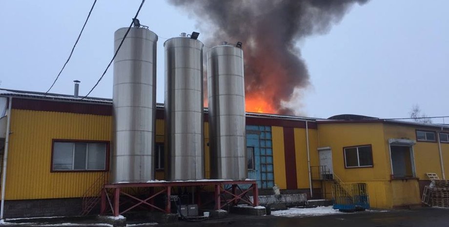 Фото: dsns.gov.ua