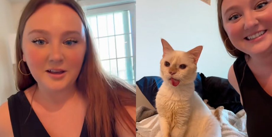 Жінка запізнилася з усиновленням кошеняти, та доля підготувала сюрприз