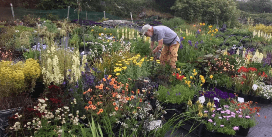 Сад, задний двор, жуткая находка в саду, надгробие, мужчина нашел надгробие во дворе, напугал людей, жуткое открытие в саду, под листьями,