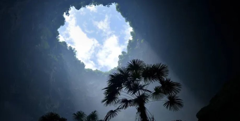 небесний ліс