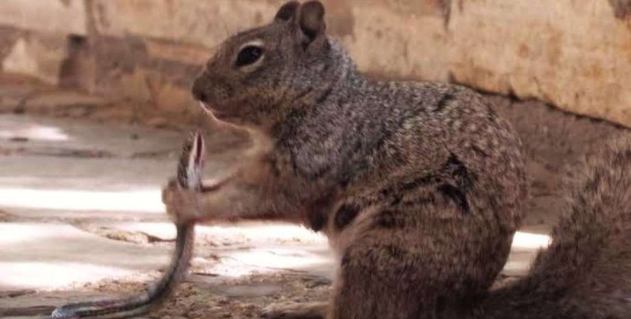 Guadalupe Mountains National Park/William Leggett