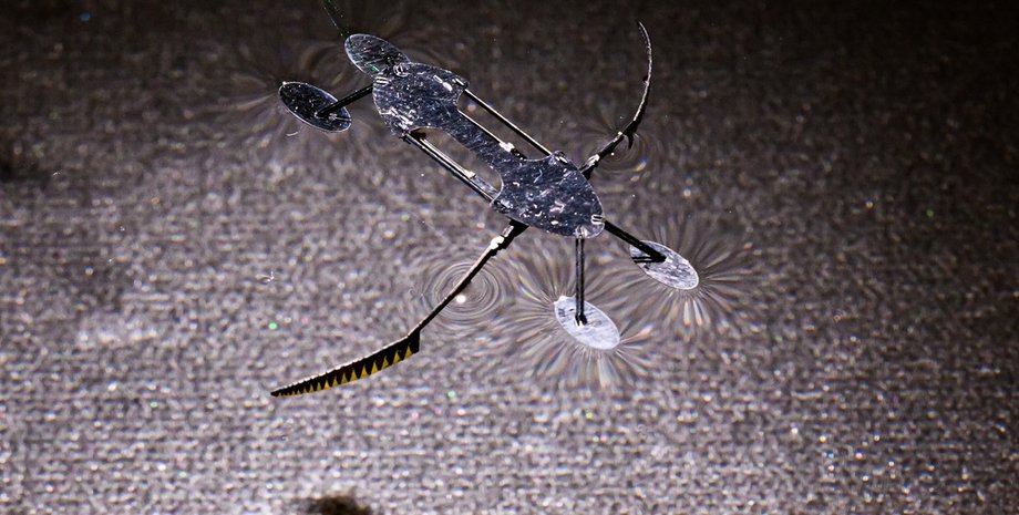 робот, мікроробот, мініробот