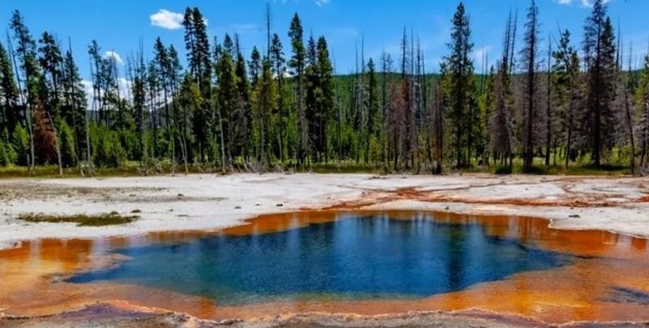 Озеро, ліс, рання земля