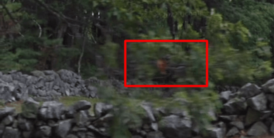 деревья, призрак, камни