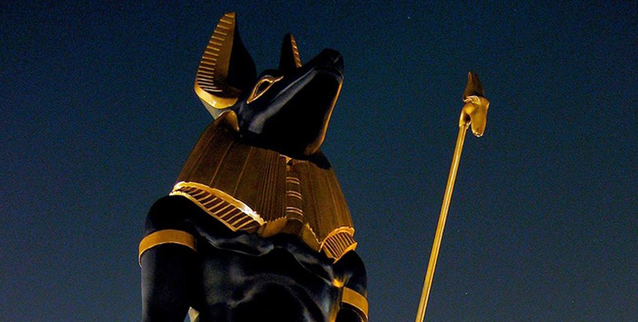 Фото: открытые источники