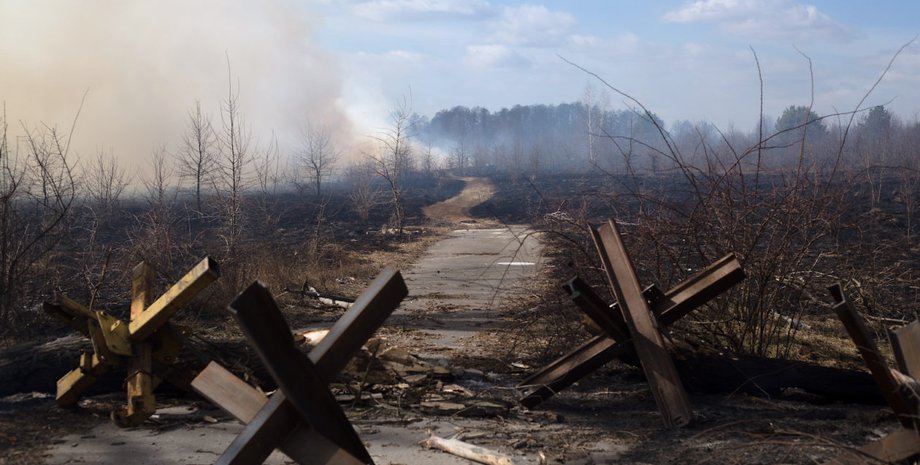 лес, леса, сгоревший лес, леса в украине