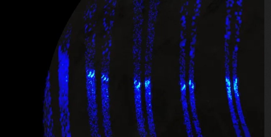 Ганімед полярне сяйво
