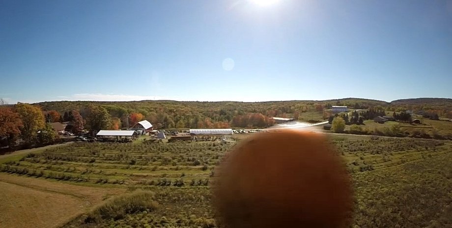 Тыква, несущаяся на квадрокоптер / Кадр из видео