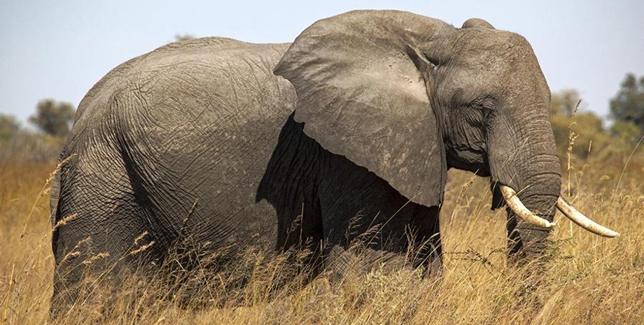 Фото: Известия