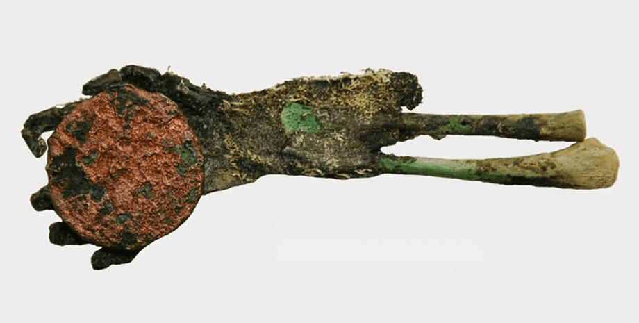 археологические открытия, мумифицированная рука, позднесредневековая монета, Ньярлоринц, Венгрия, зеленая рука, природная мумификация, мумификация на основе меди, антимикробные свойства, мультидисциплинарные исследования, био-археологическая запись