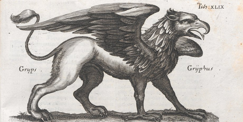 грифон